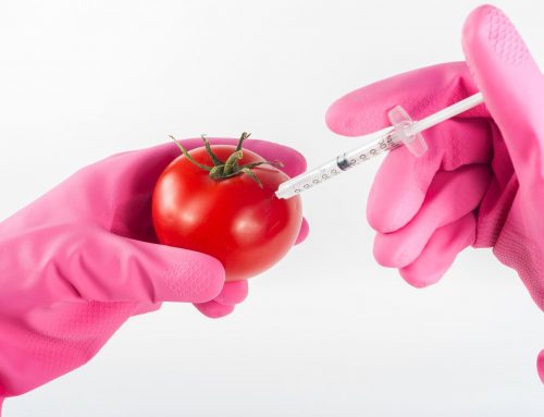 I pericoli dello scientismo. Una controversia su agricoltura biologica, OGM ed ecofemminismo