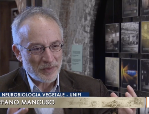 Il Cantico della Terra