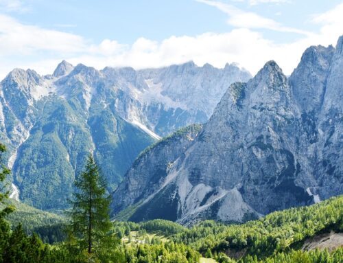 La foresto-speleoterapia di ALPI sulla rivista medica “Il Cesalpino”